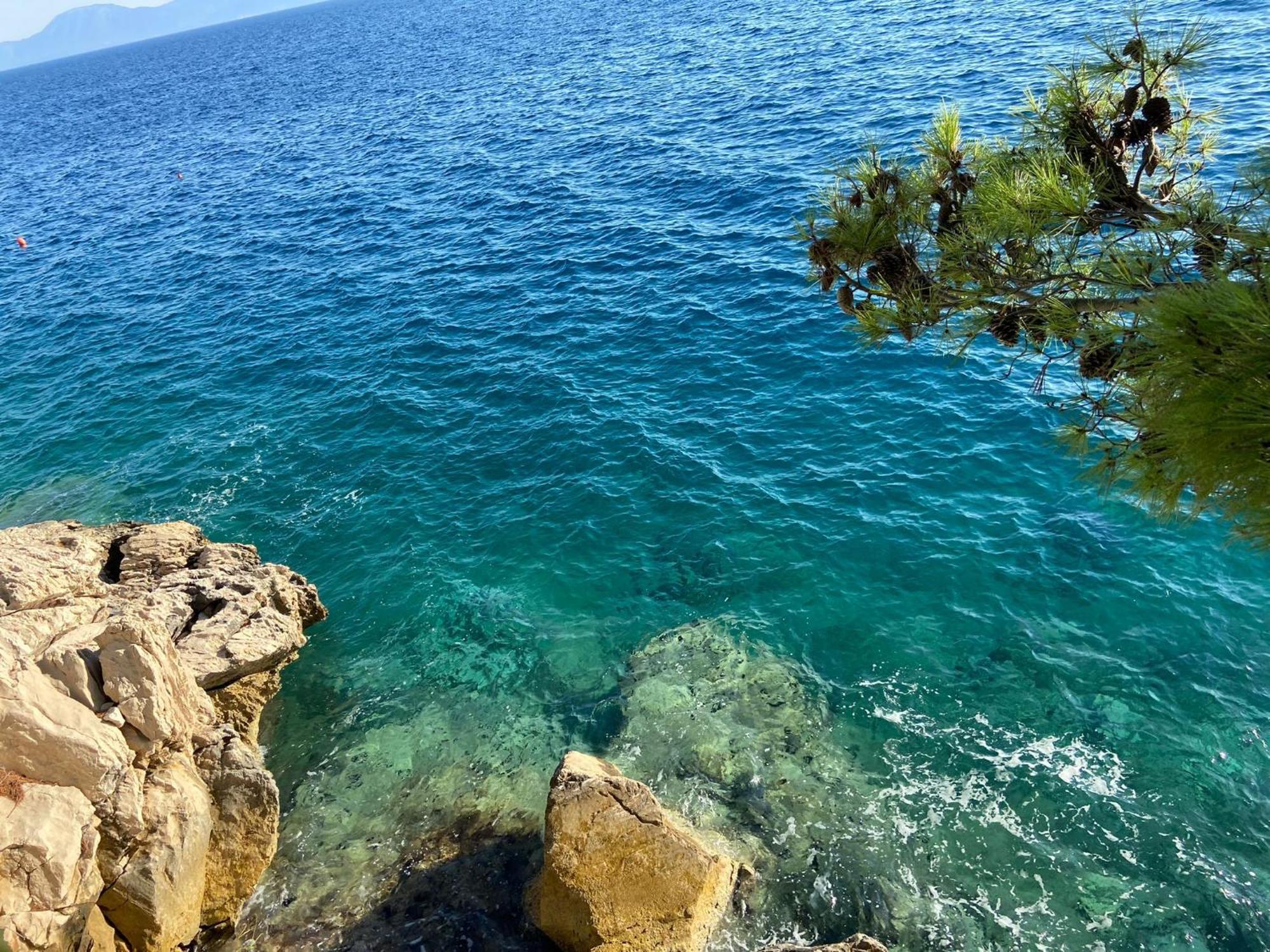 Pansion Palme Drvenik (Split-Dalmatia) Exterior foto